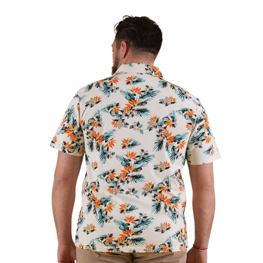 Polo Rugby de Manga Corta Palm Beach Blanco Roto con Estampado - Ruckfield