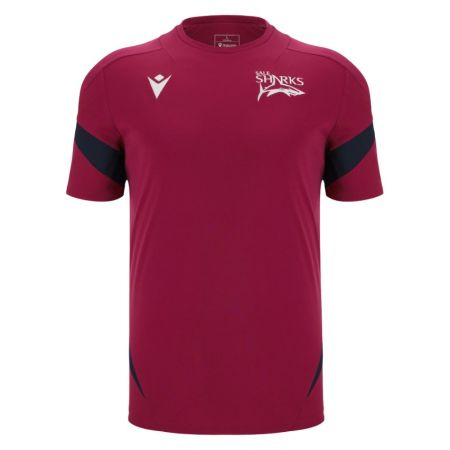 Camiseta Entrenamiento Sale Sharks 2025/2026 - Macron