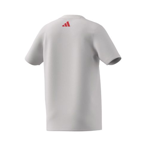 Camiseta Rugby gráfica Francia 2025/2026 Niño - Adidas